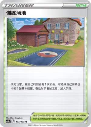 Training Court 133 — Dynamax Clash (Thunder) (Chinese Pokémon TCG card)