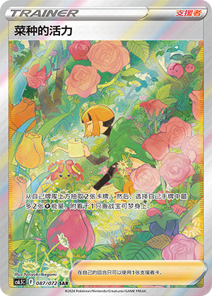 Gardenia's Vigor 087 — Victory Star Guide (Chinese Pokémon TCG card)
