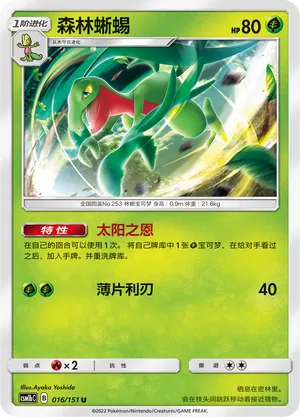 Grovyle 016 — Storming Emergence (Verdant) (Chinese Pokémon TCG card)