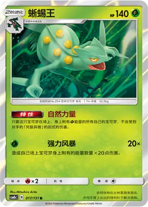 Sceptile 017 — Storming Emergence (Verdant) (Chinese Pokémon TCG card)