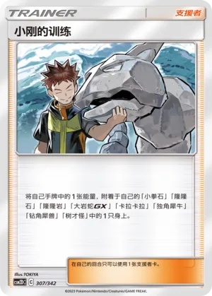 Brock's Training 307 — Shining Synergy GX Starter Deck (Chinese Pokémon TCG card)