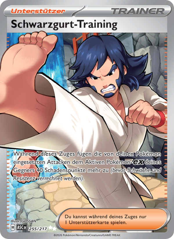Schwarzgurt-Training 255 — Erhabene Helden (German Pokémon TCG card)