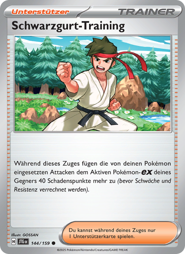 Schwarzgurt-Training 144 — Journey Together (German Pokémon TCG card)