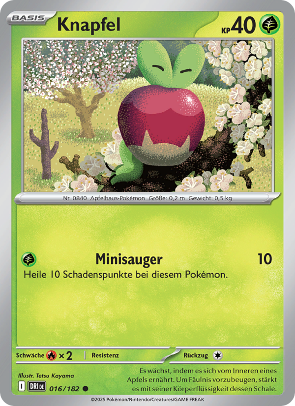 Knapfel 016 — Destined Rivals (German Pokémon TCG card)