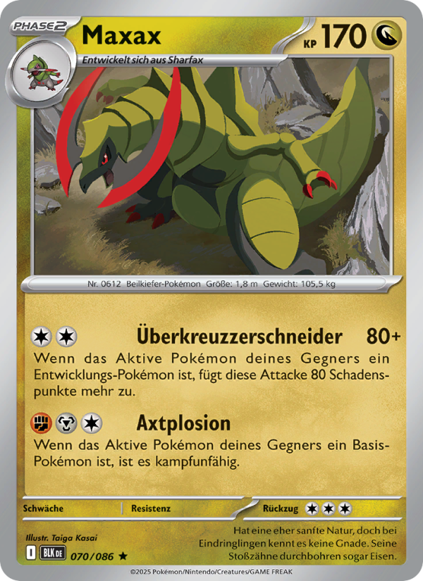 Maxax 070 — Schwarze Blitze (German Pokémon TCG card)