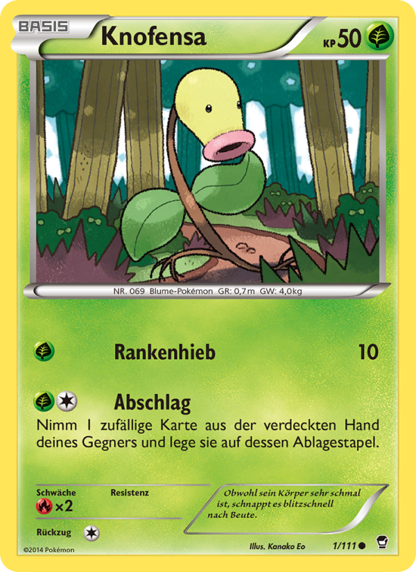 Furious Fists Erweiterung