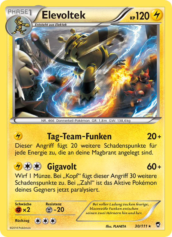 Elevoltek 30 — Furious Fists (German Pokémon TCG card)