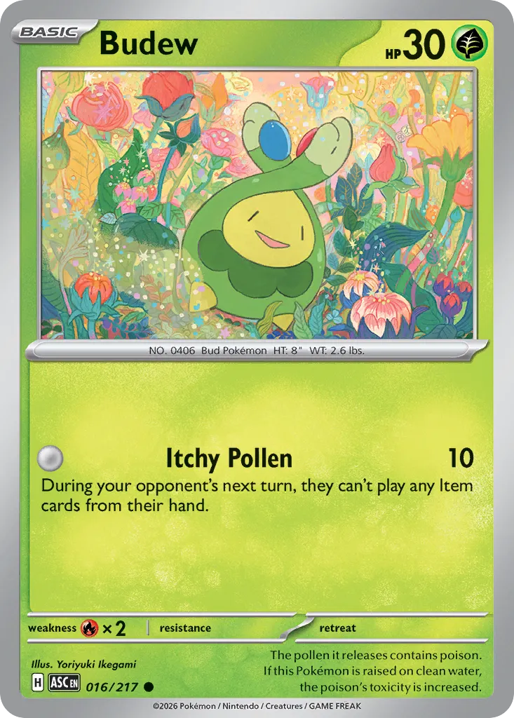Budew 016/217 — Ascended Heroes (English Pokémon TCG card)