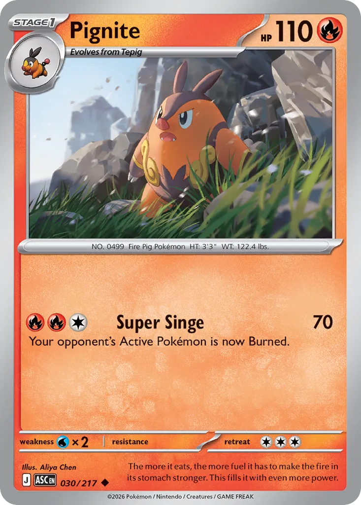 Pignite 030/217 — Ascended Heroes (English Pokémon TCG card)