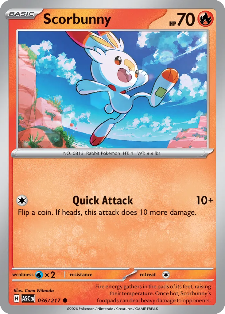 Scorbunny 036/217 — Ascended Heroes (English Pokémon TCG card)