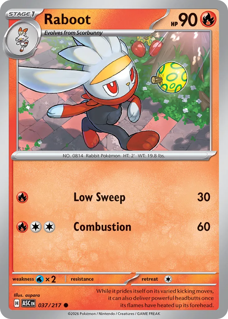 Raboot 037/217 — Ascended Heroes (English Pokémon TCG card)
