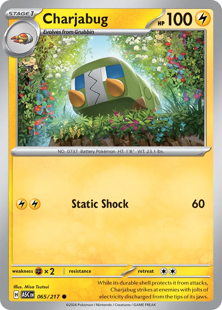 Charjabug 065/217 — Ascended Heroes (English Pokémon TCG card)