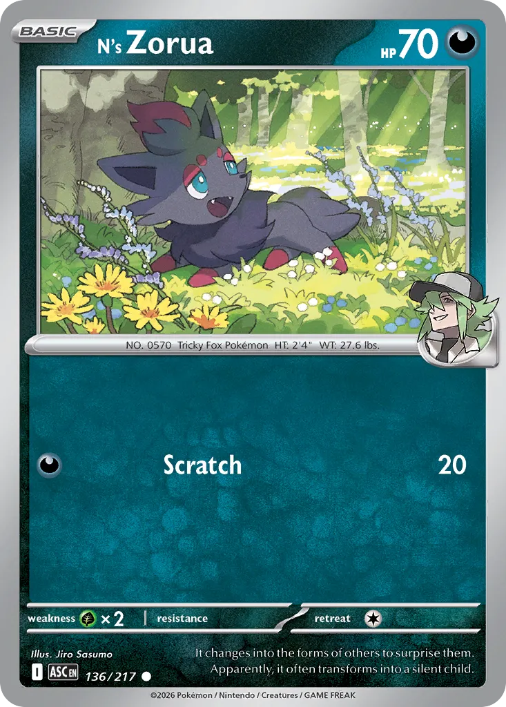 N's Zorua 136/217 — Ascended Heroes (English Pokémon TCG card)