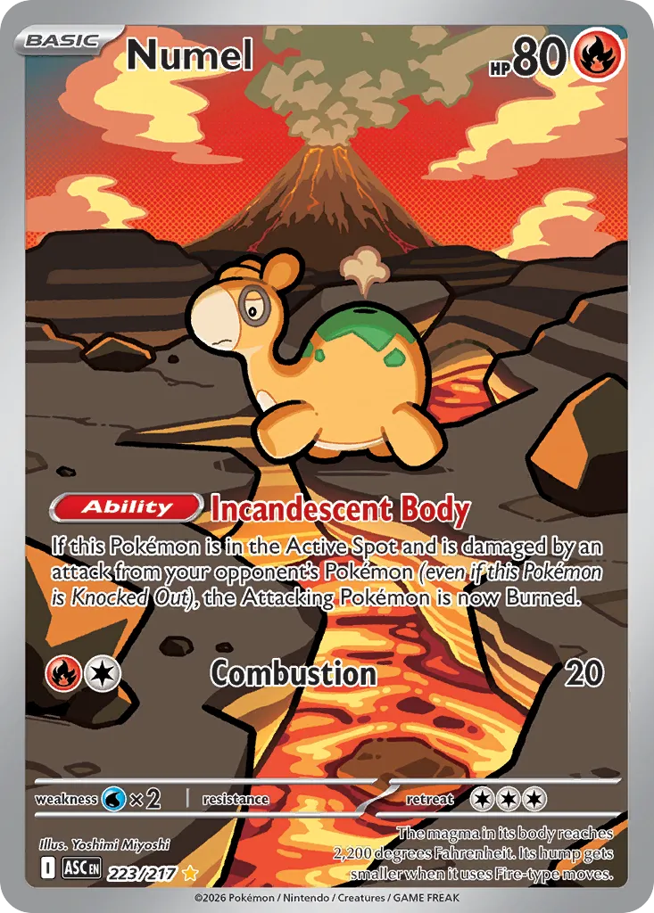 Numel 223/217 — Ascended Heroes (English Pokémon TCG card)