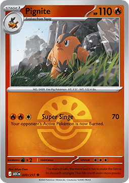 Pignite 030 — Ascended Heroes: Additionals (English Pokémon TCG card)