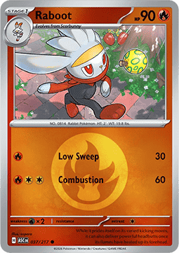 Raboot 037 — Ascended Heroes: Additionals (English Pokémon TCG card)