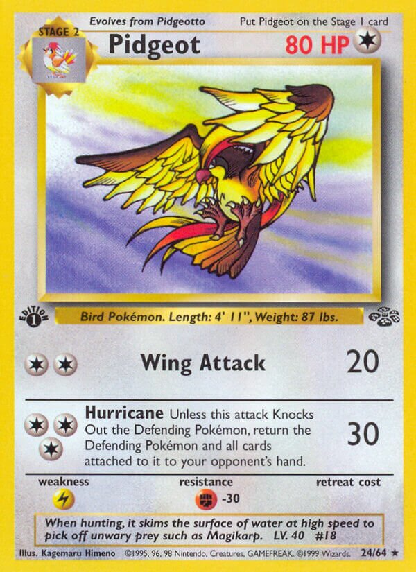 Pidgeot 024/64 — Jungle (English Pokémon TCG card)