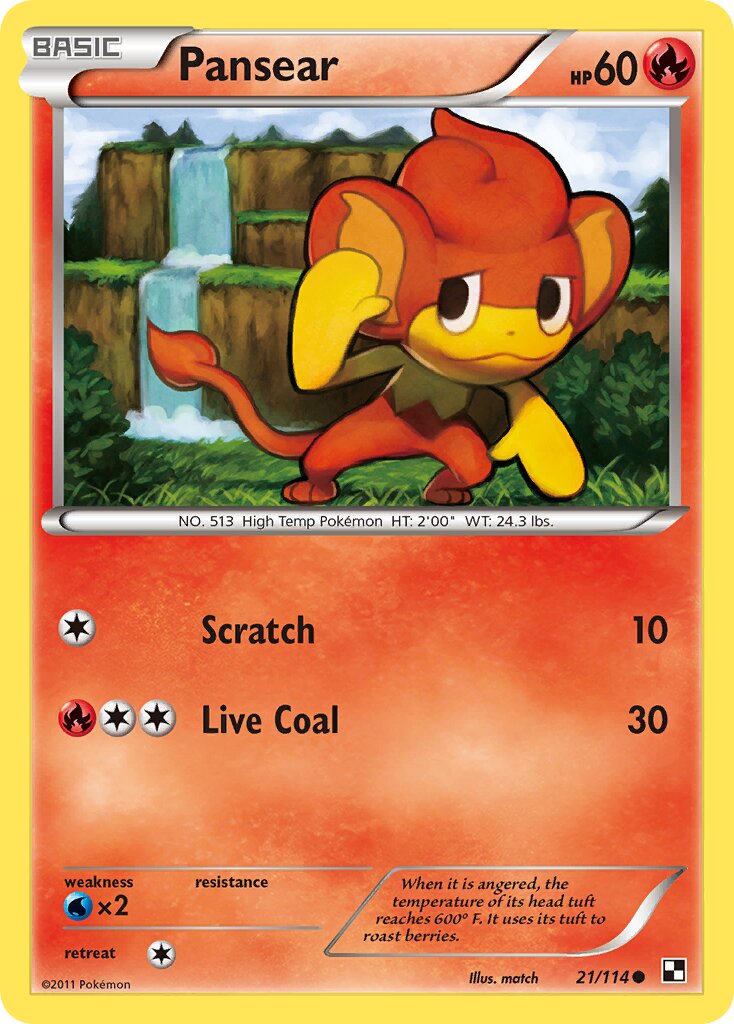 Pansear 021/114 — Black & White (English Pokémon TCG card)