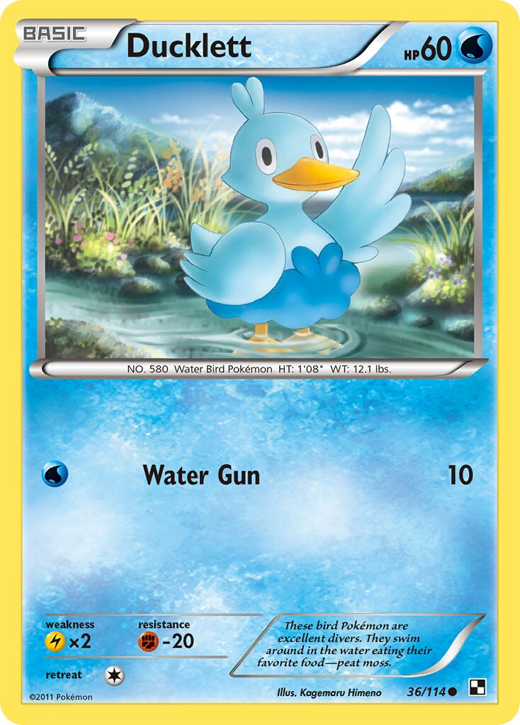 Ducklett 036/114 — Black & White (English Pokémon TCG card)