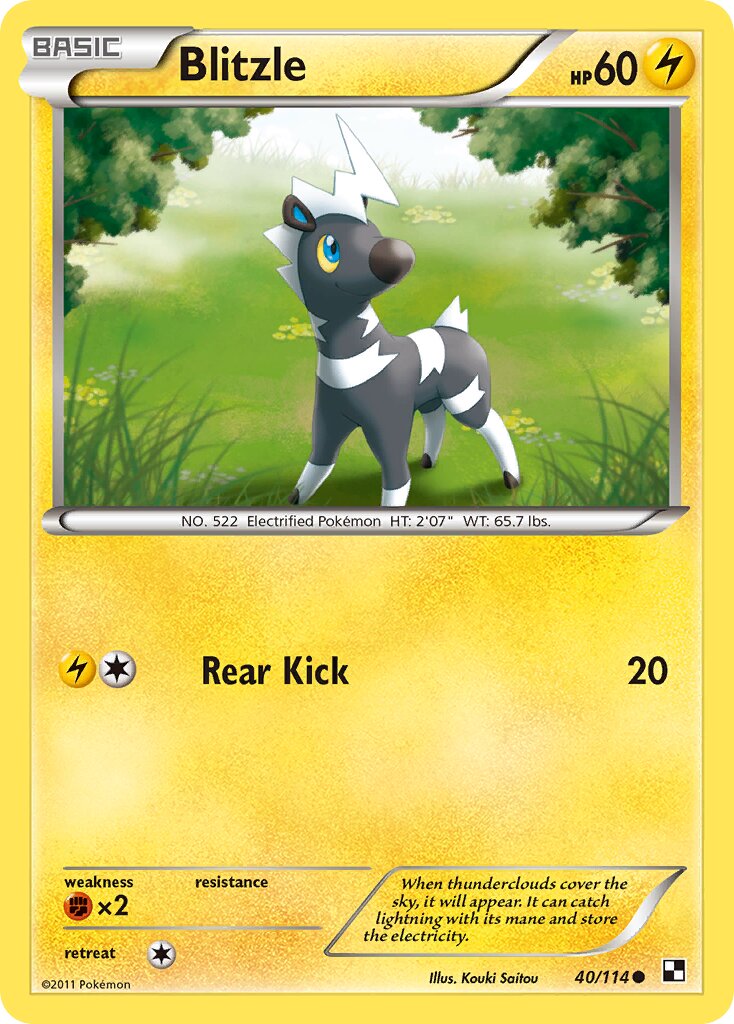 Blitzle 040/114 — Black & White (English Pokémon TCG card)