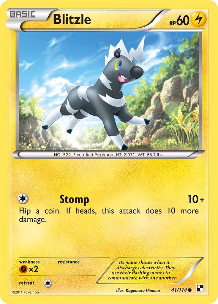 Blitzle 041/114 — Black & White (English Pokémon TCG card)