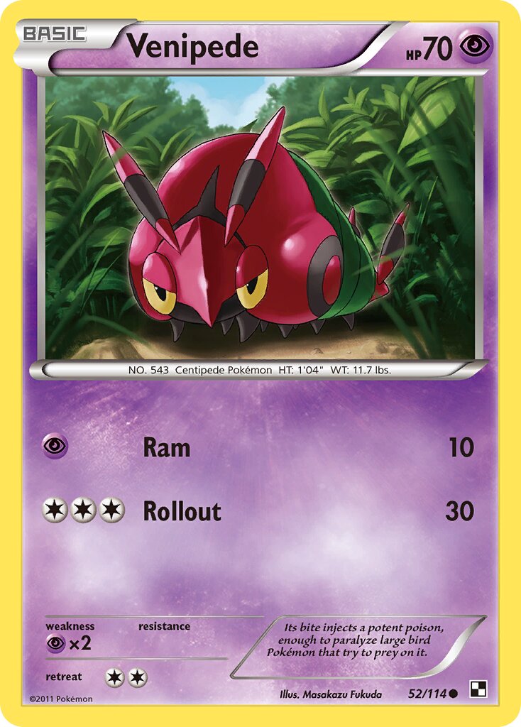 Venipede 052/114 — Black & White (English Pokémon TCG card)