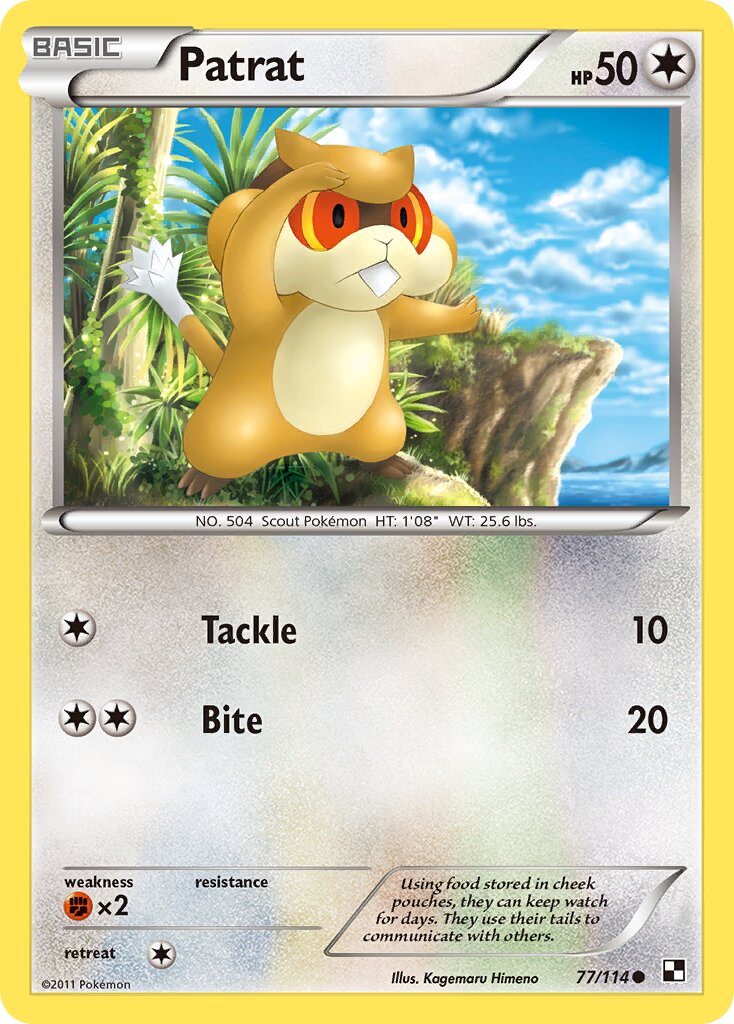 Patrat 077/114 — Black & White (English Pokémon TCG card)