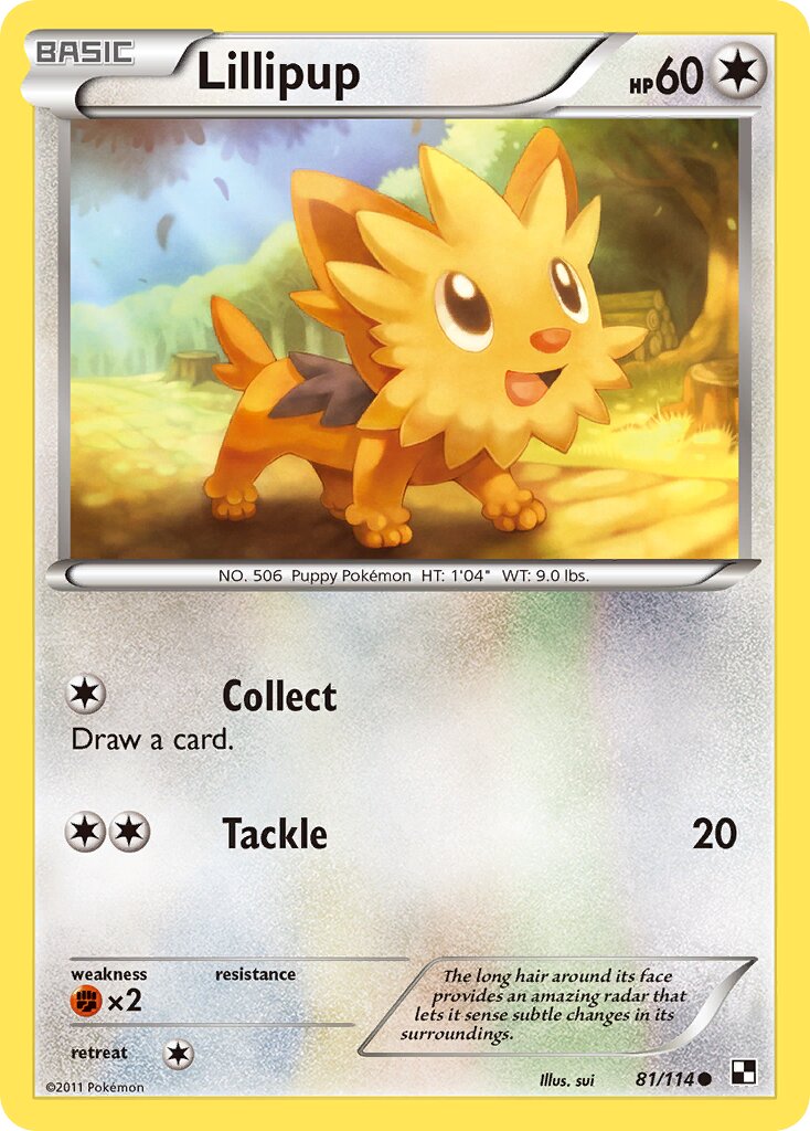 Lillipup 081/114 — Black & White (English Pokémon TCG card)