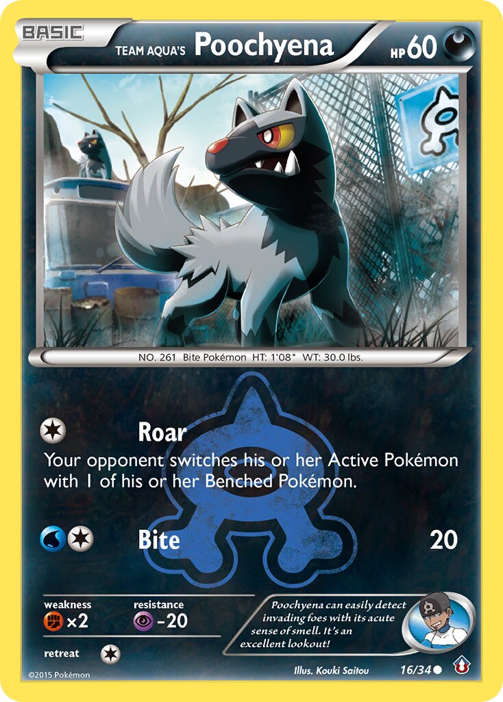 Team Aqua's Poochyena 016/34 — Double Crisis (English Pokémon TCG card)