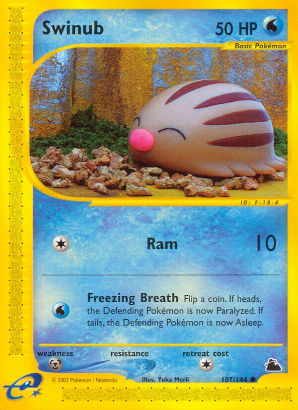 Swinub 107/182 — Skyridge (English Pokémon TCG card)