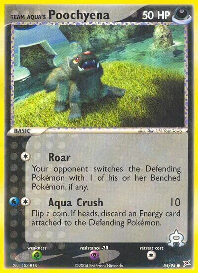 Team Aqua's Poochyena 055/95 — EX Team Magma vs Team Aqua (English Pokémon TCG card)