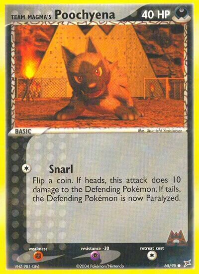 Team Magma's Poochyena 065/95 — EX Team Magma vs Team Aqua (English Pokémon TCG card)