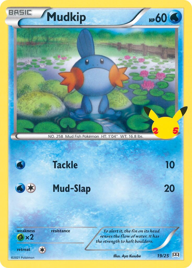 Mudkip 019/25 — Collezione McDonald's 25° Anniversario (2021) (Italian Pokémon TCG card)