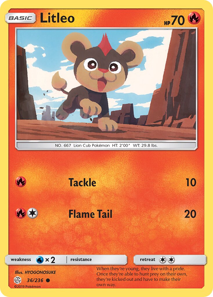 Litleo 036/236 — Cosmic Eclipse (English Pokémon TCG card)