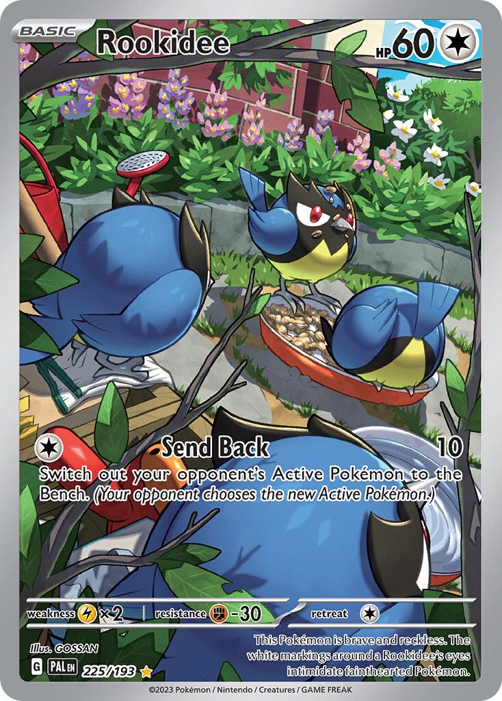 Rookidee 225/193 — Paldea Evolved (English Pokémon TCG card)
