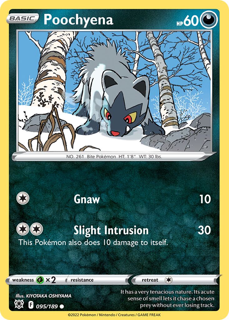 Poochyena 095/246 — Astral Radiance (English Pokémon TCG card)