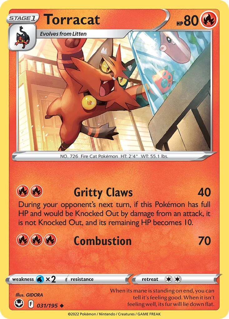 Torracat 031/245 — Silver Tempest (English Pokémon TCG card)