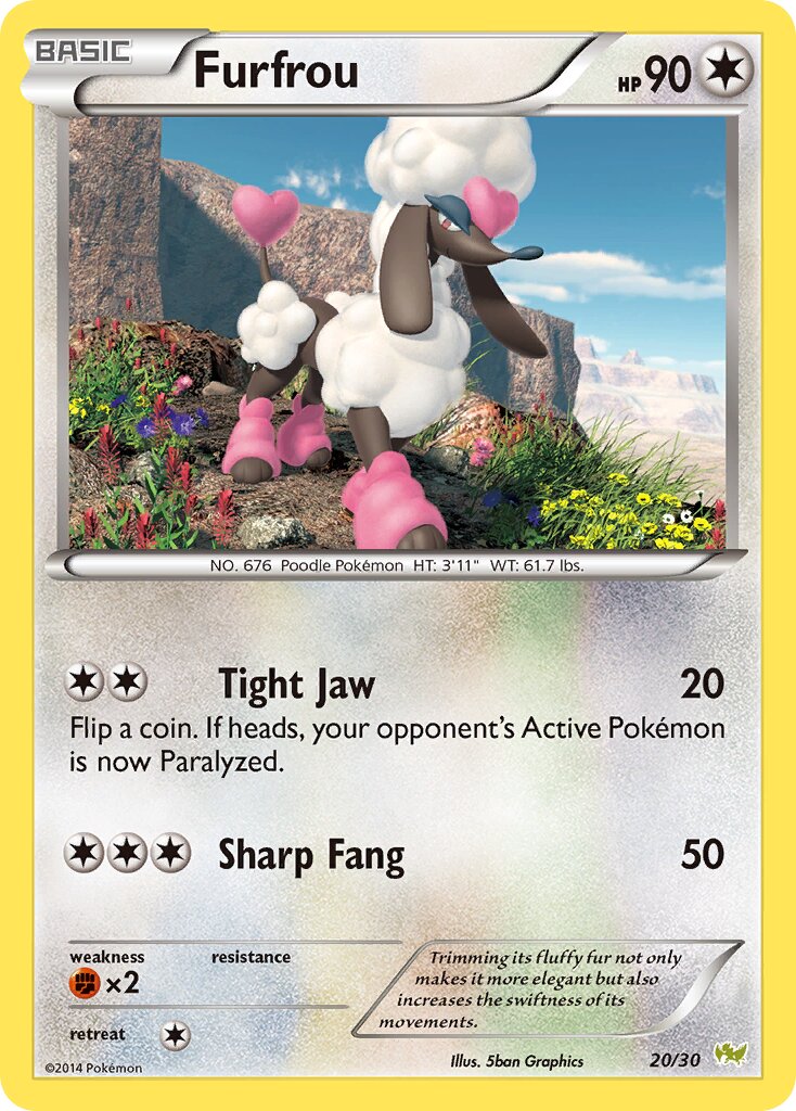 Furfrou 020/30 — XY trainer Kit (Noivern) (English Pokémon TCG card)