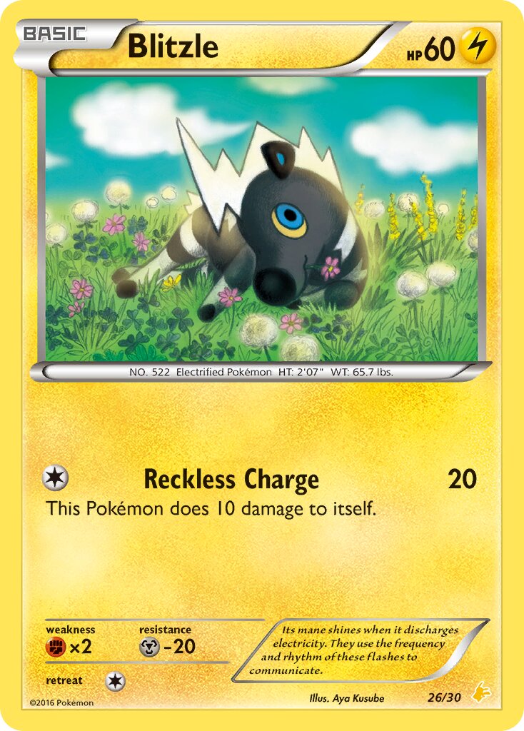Blitzle 026/30 — XY trainer Kit (Pikachu Libre) (English Pokémon TCG card)