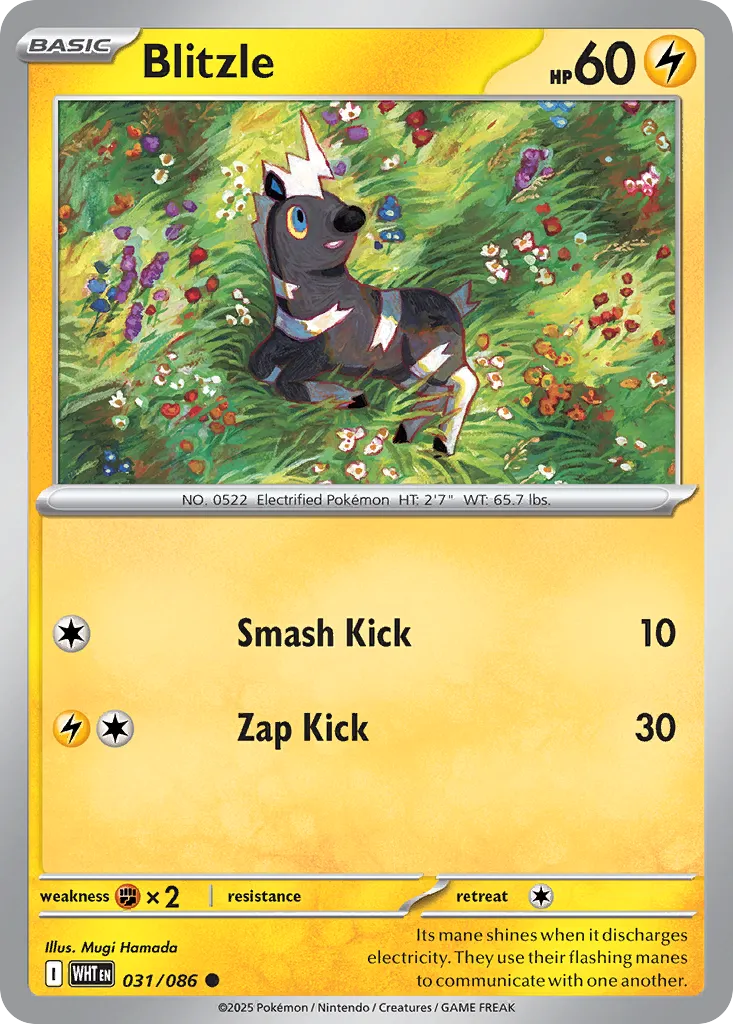 Blitzle 031 — White Flare (English Pokémon TCG card)