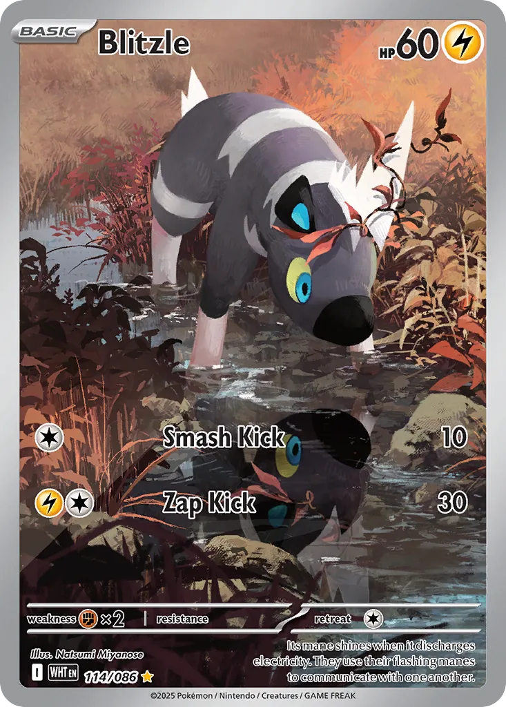 Blitzle 114 — White Flare (English Pokémon TCG card)