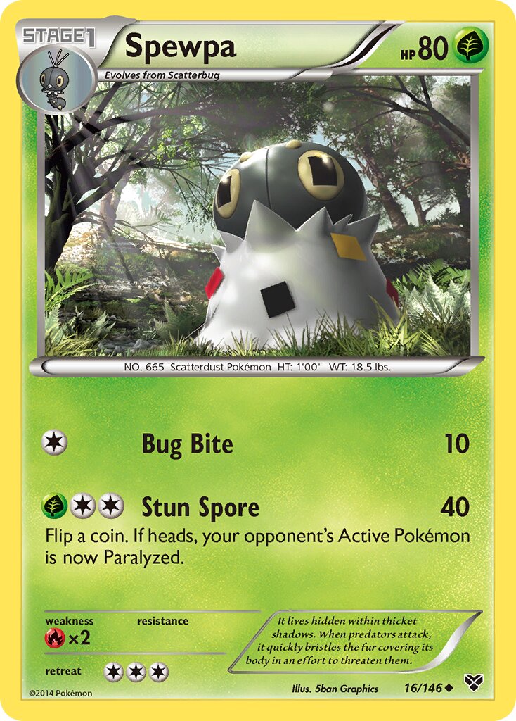 Spewpa 016/146 — XY (English Pokémon TCG card)