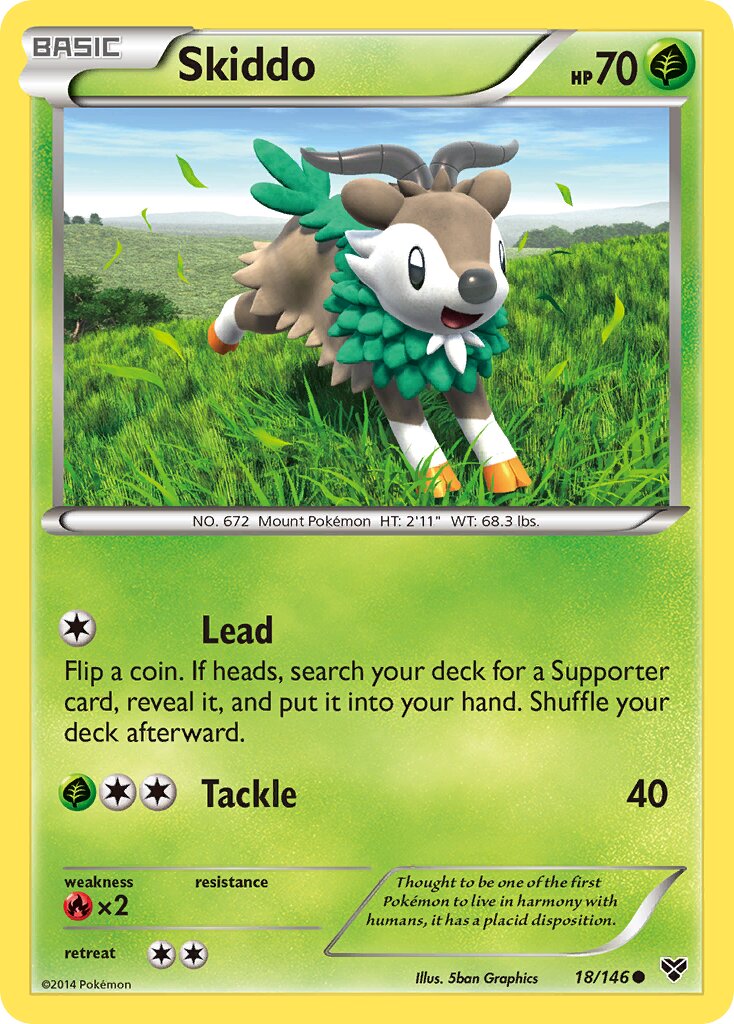Skiddo 018/146 — XY (English Pokémon TCG card)