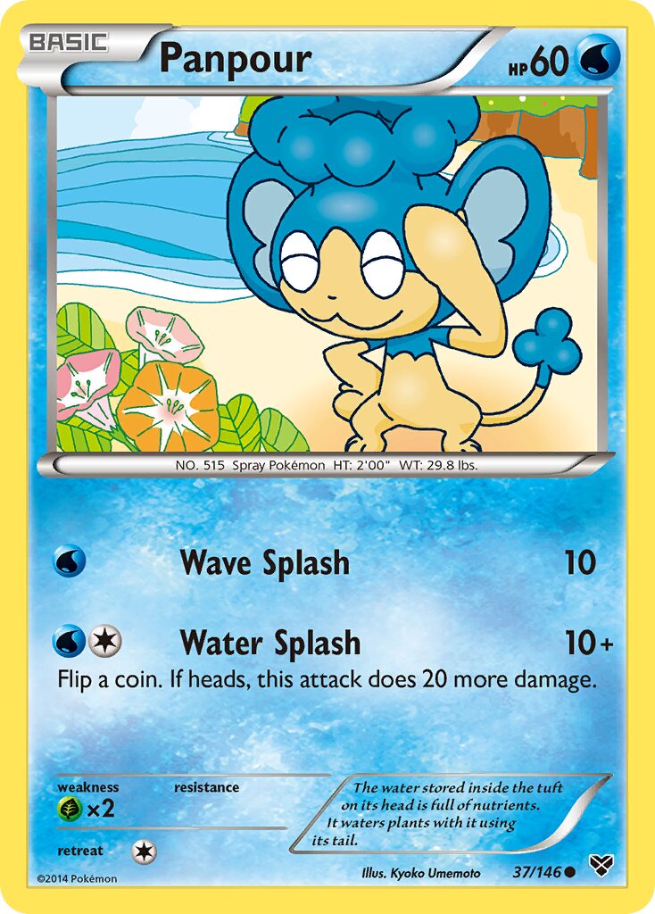 Panpour 037/146 — XY (English Pokémon TCG card)