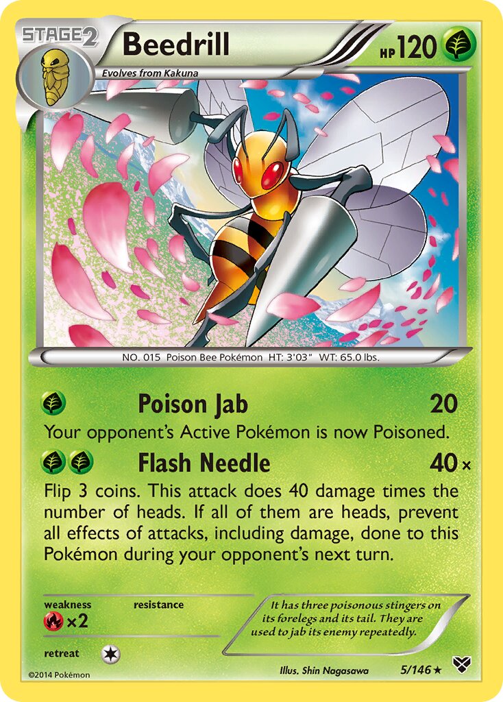 Beedrill 005/146 — XY (English Pokémon TCG card)