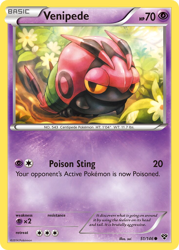 Venipede 051/146 — XY (English Pokémon TCG card)