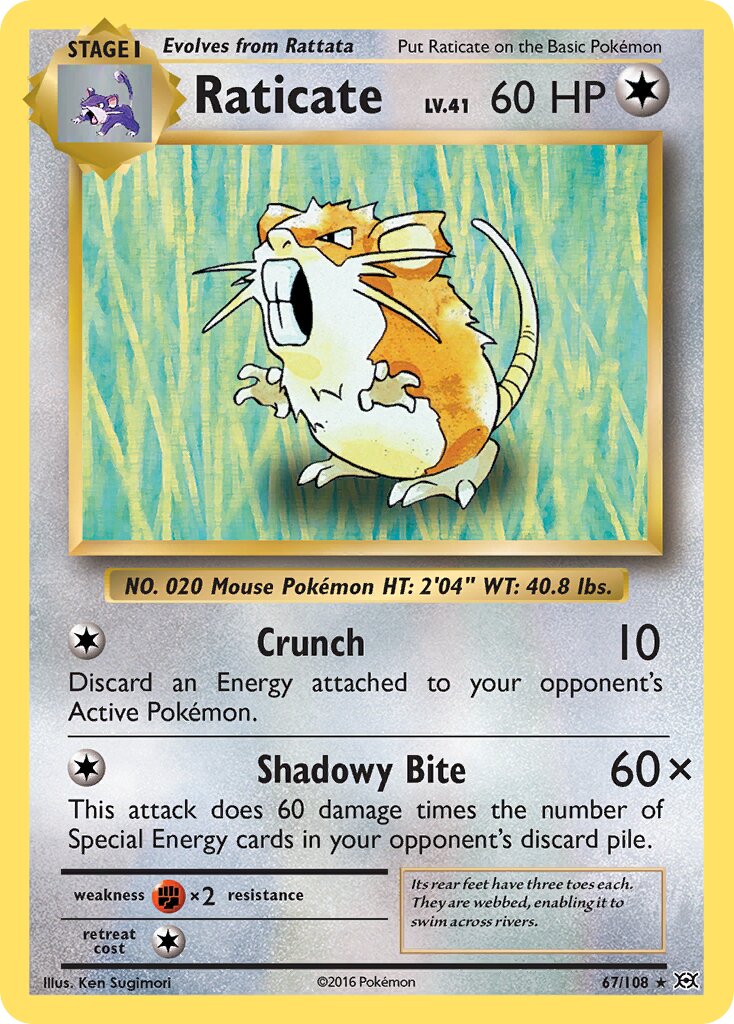 Raticate 067/108 — Evolutions (English Pokémon TCG card)