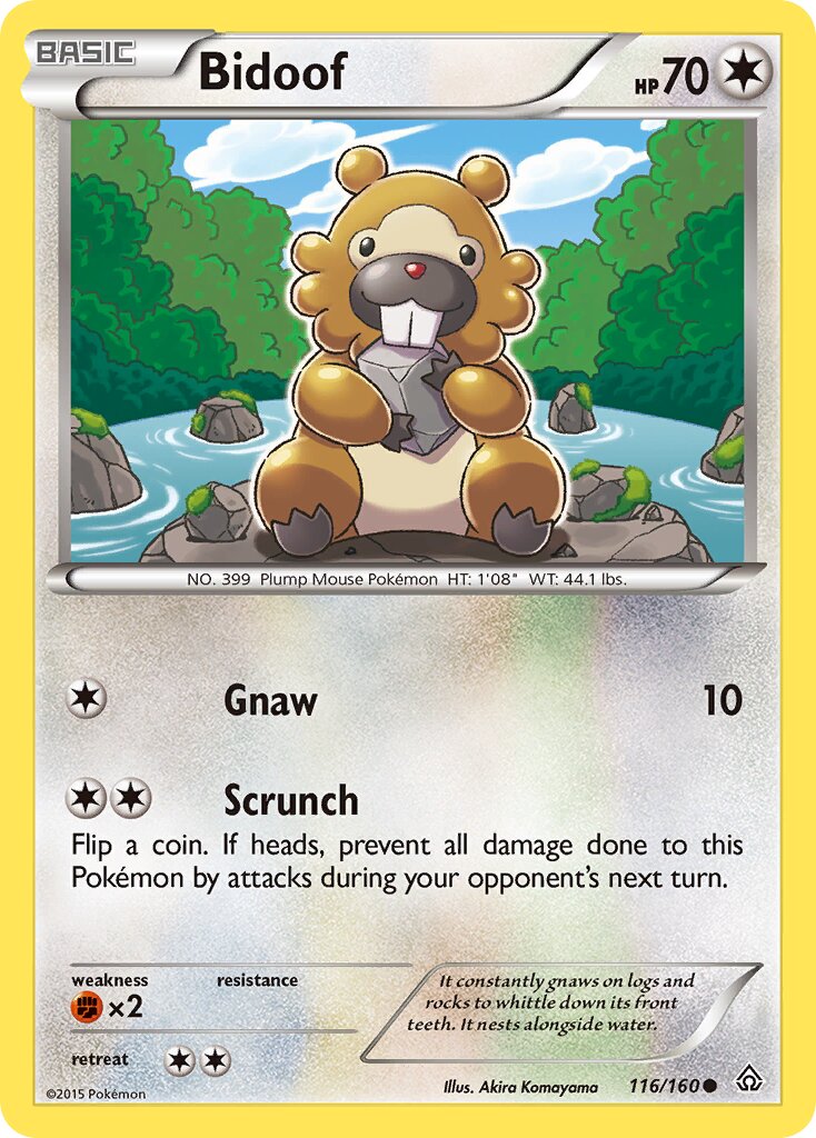Bidoof 116/160 — Primal Clash (English Pokémon TCG card)