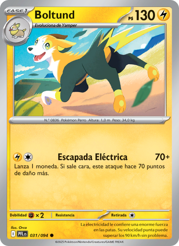 Boltund 031 — Phantasmal Flames (Spanish Pokémon TCG card)