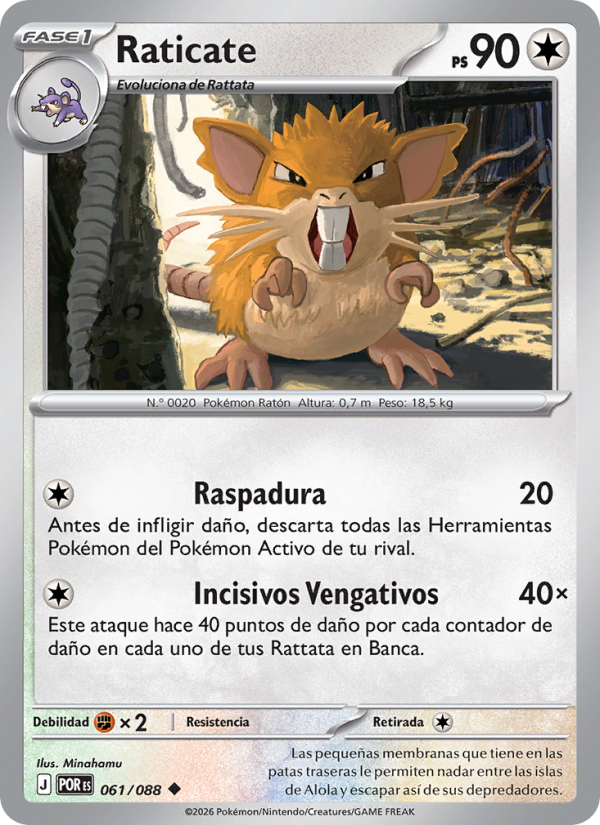 Raticate 061 — Optimale Ordnung (Spanish Pokémon TCG card)